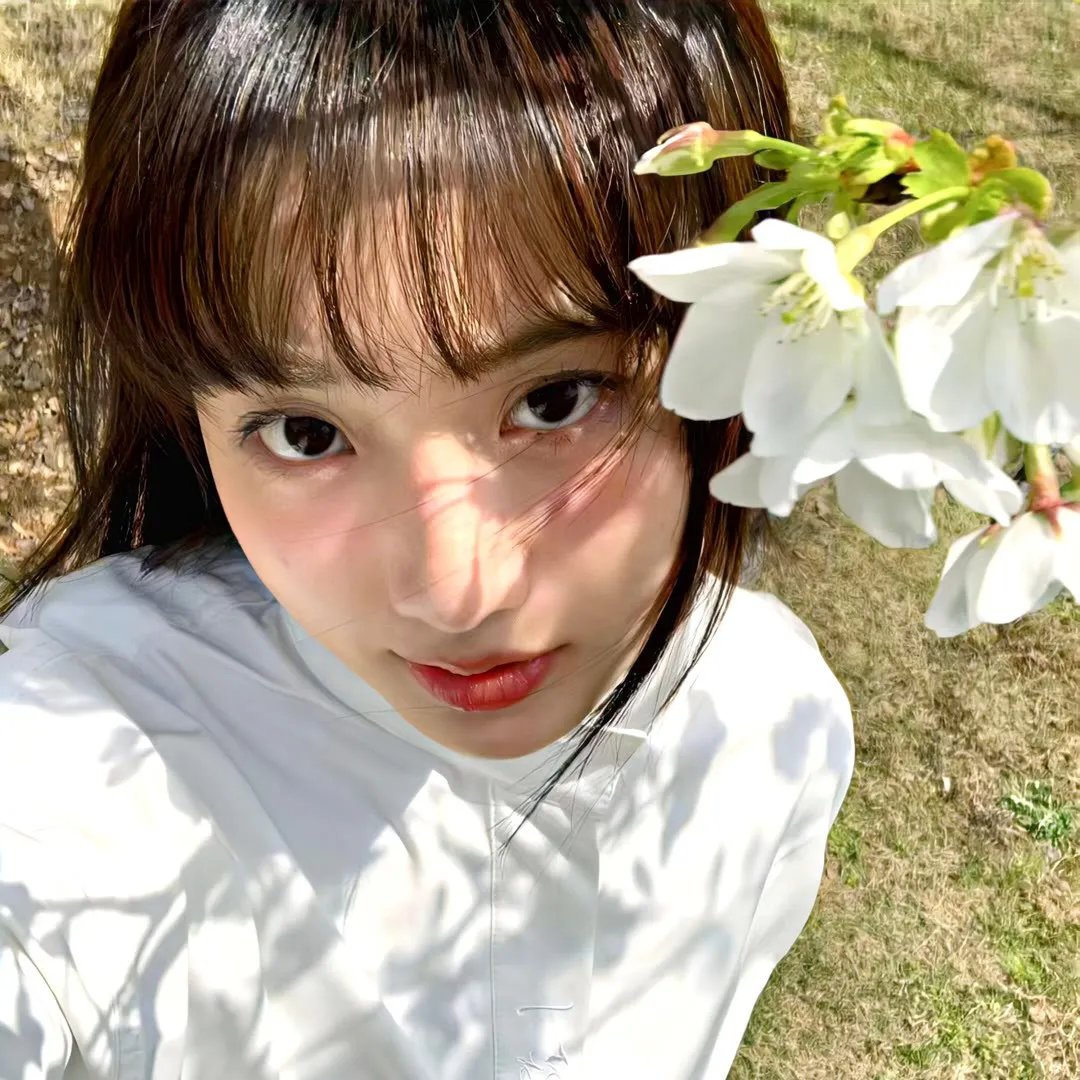 爱宠大机密2